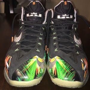 Lebron 11 Everglades